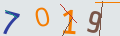 verifycode